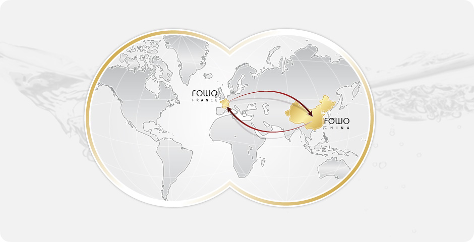Carte Fowo